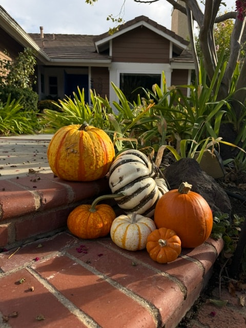Layered harvest at the doorstep