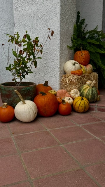 Ms. Holly Inspired fall porch installation 4