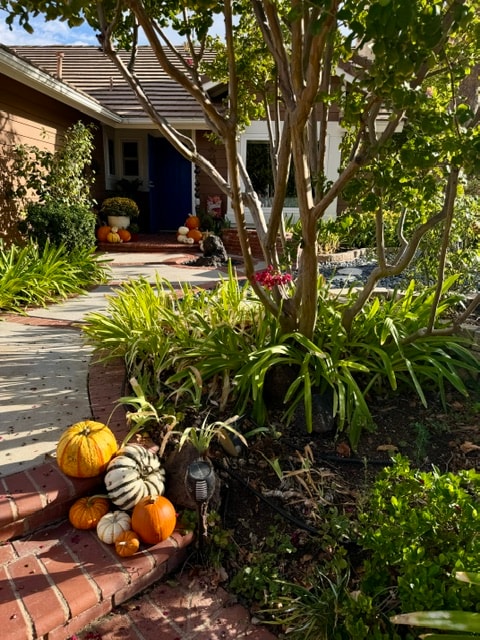 Ms. Holly Inspired fall porch installation 1