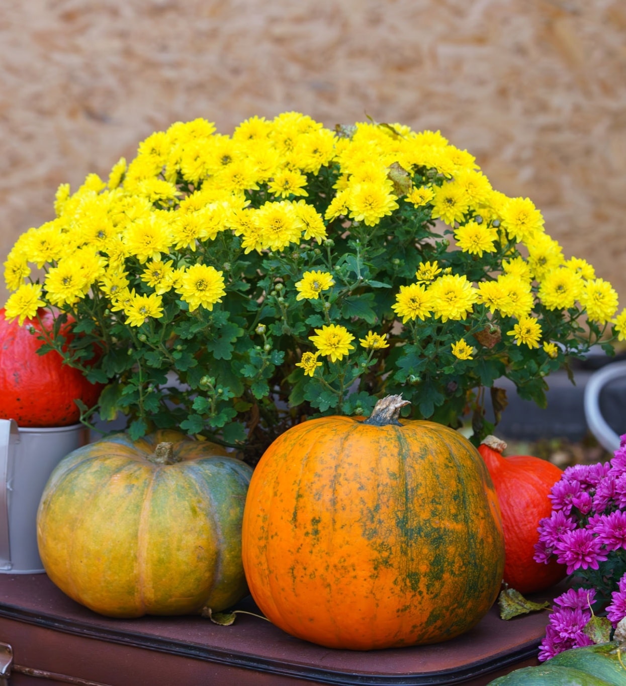 Ms. Holly Inspired fall porch installation 2